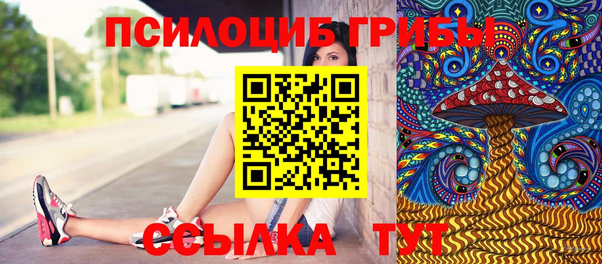 Галлюциногенные грибы Cubensis  Вход с VPN  Норильск 