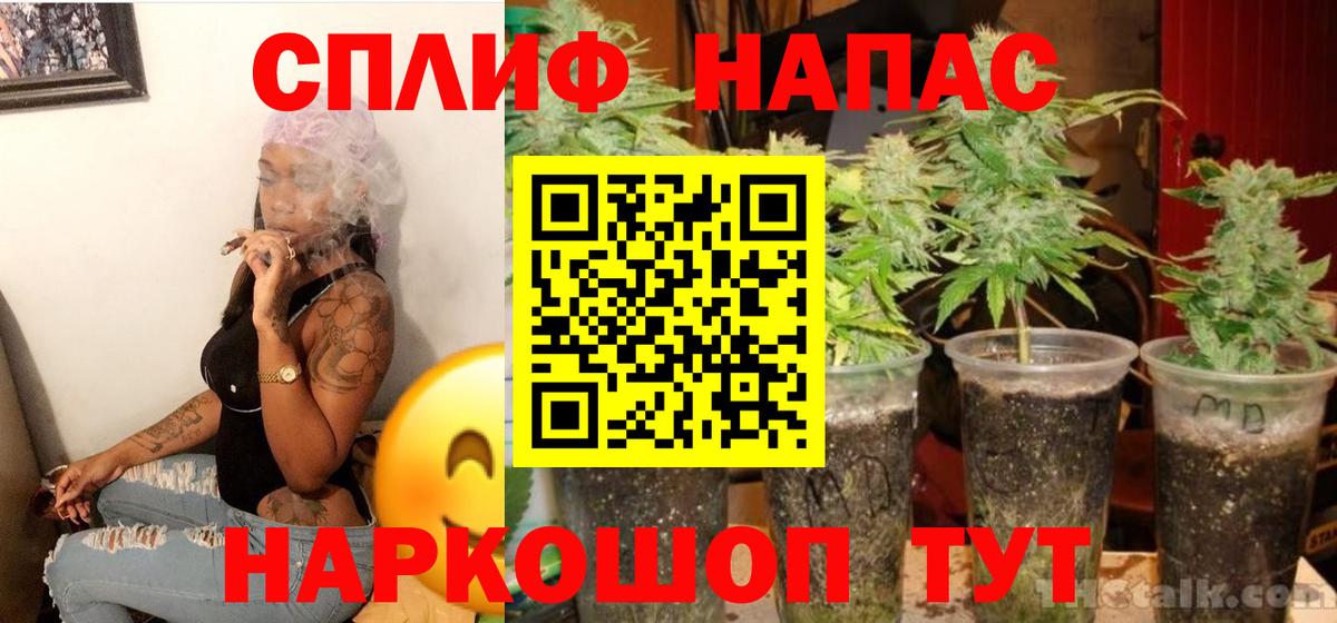 Каннабис сатива  Каннабис Amnesia  Бошки марихуана VHQ  Норильск  Бошки Шишки Amnesia  Вход с VPN 